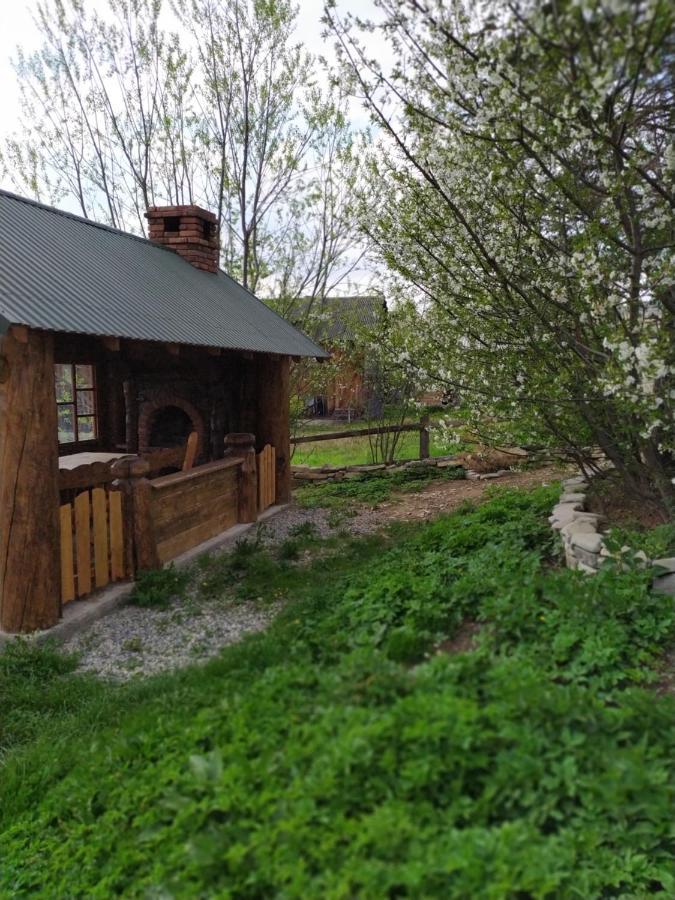 Dobryi Hutsul 2 Villa Mykulychyn Bagian luar foto